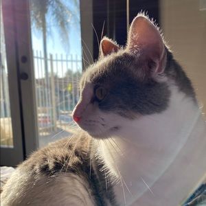 Meet your Posher, Taryn